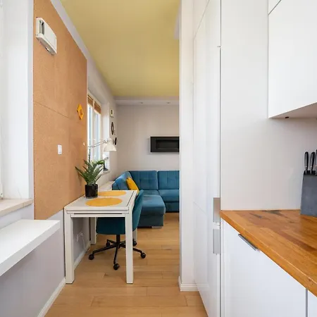 Apartment Wola Jana Kazimierza Studio